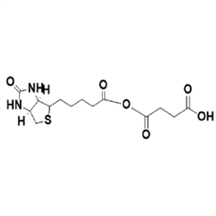 磷脂脂質體-PEG衍生物 陜西星貝愛科生物賦能生物試劑新選擇