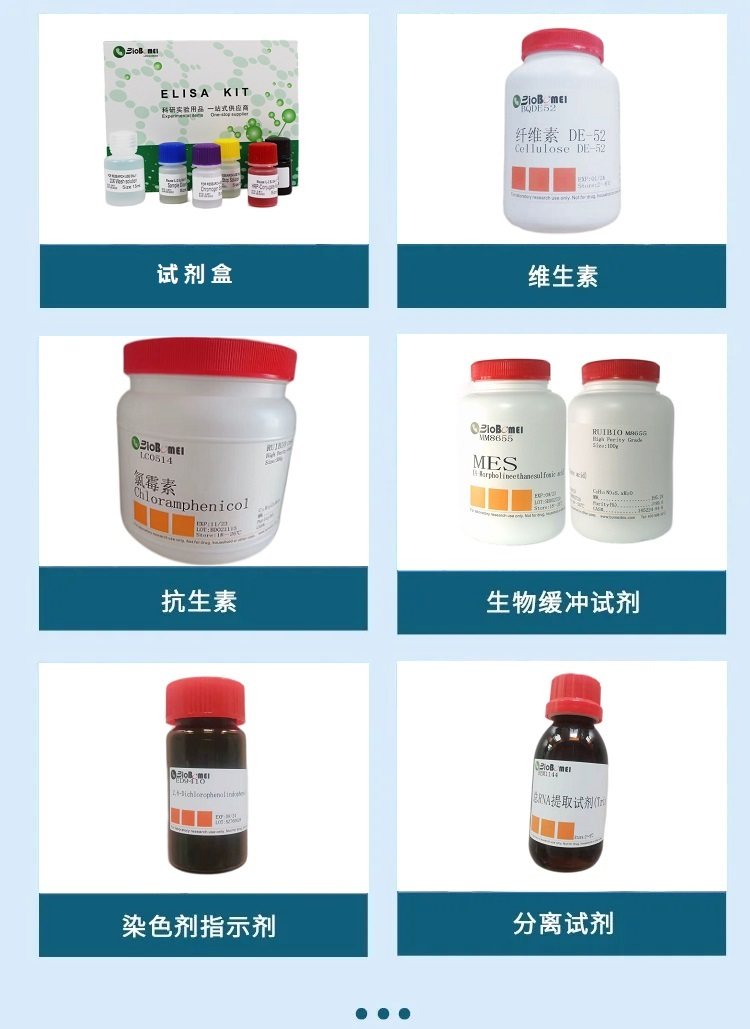基于明確酶學的多酚氧化酶（酪氨酸酶）研究 蘑菇來源 9002-10-2 在博美生物等試劑體系下的科研實驗應用解析